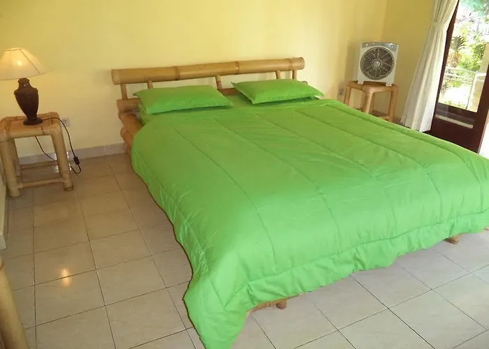 Green Coco House 招待所