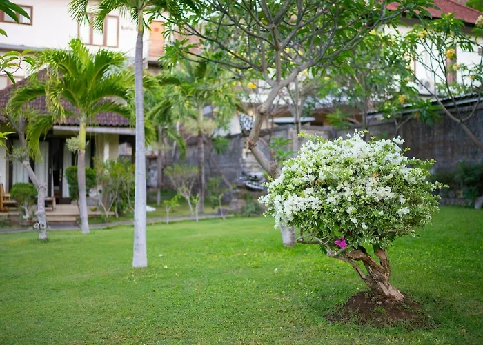 招待所 Green Coco House